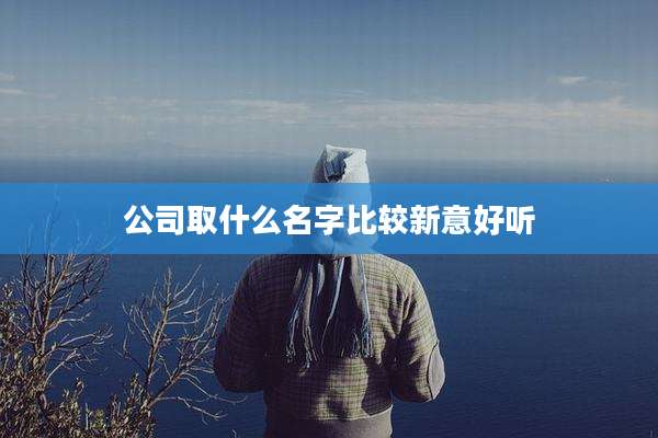 公司取什么名字比较新意好听