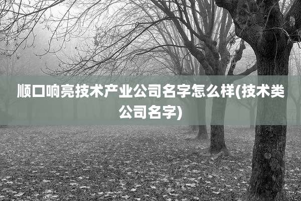 顺口响亮技术产业公司名字怎么样(技术类公司名字)