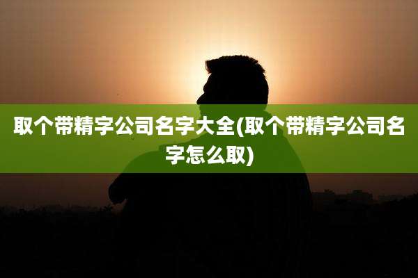 取个带精字公司名字大全(取个带精字公司名字怎么取)
