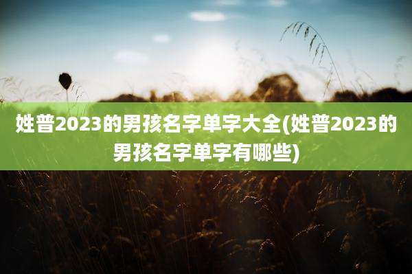 姓普2023的男孩名字单字大全(姓普2023的男孩名字单字有哪些)