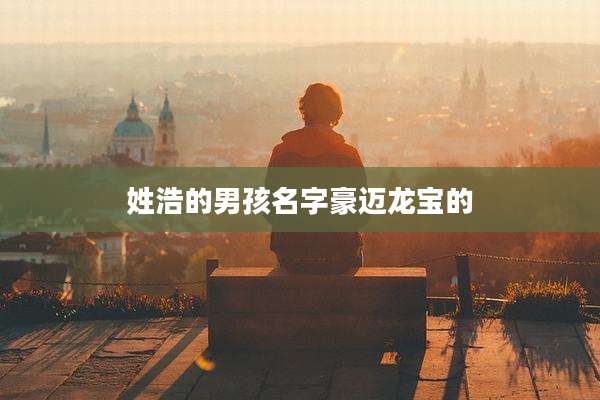 姓浩的男孩名字豪迈龙宝的