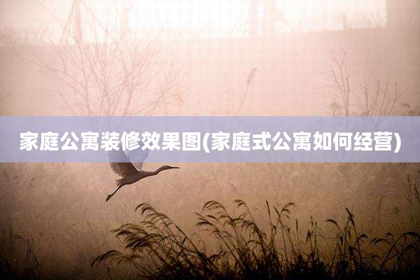 家庭公寓装修效果图(家庭式公寓如何经营)