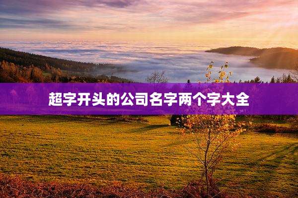 超字开头的公司名字两个字大全