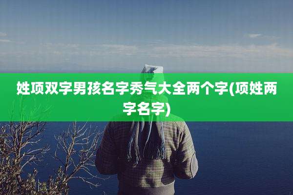姓项双字男孩名字秀气大全两个字(项姓两字名字)