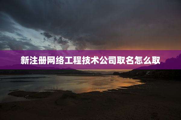新注册网络工程技术公司取名怎么取
