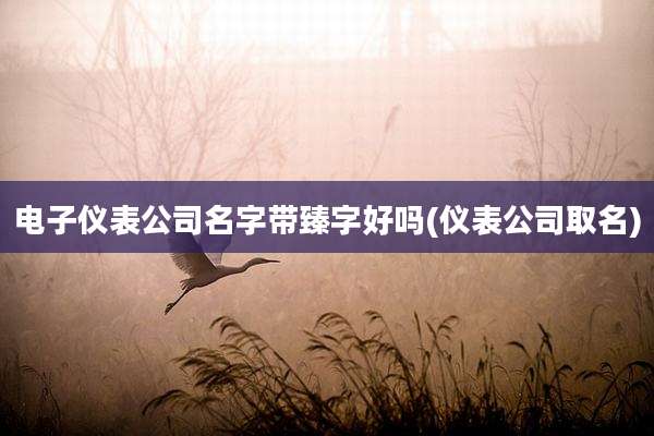 电子仪表公司名字带臻字好吗(仪表公司取名)