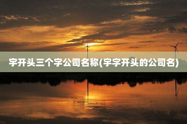 宇开头三个字公司名称(宇字开头的公司名)