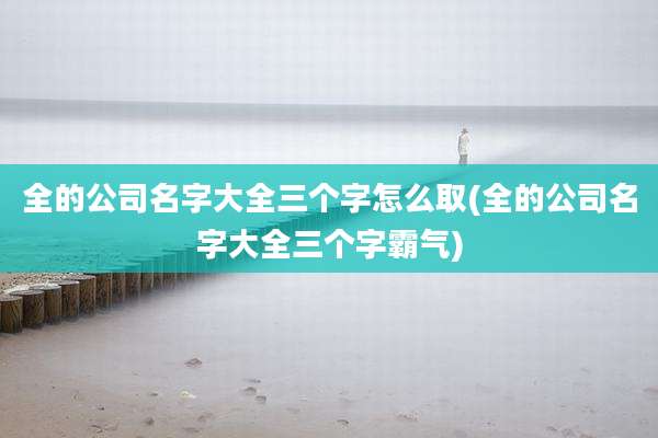 全的公司名字大全三个字怎么取(全的公司名字大全三个字霸气)