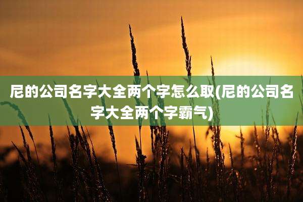 尼的公司名字大全两个字怎么取(尼的公司名字大全两个字霸气)