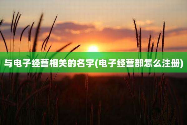 与电子经营相关的名字(电子经营部怎么注册)