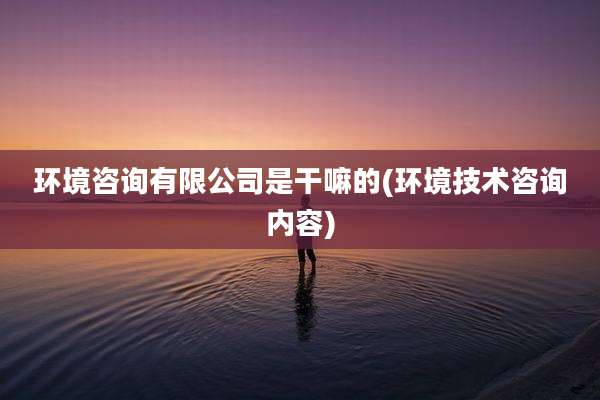 环境咨询有限公司是干嘛的(环境技术咨询内容)