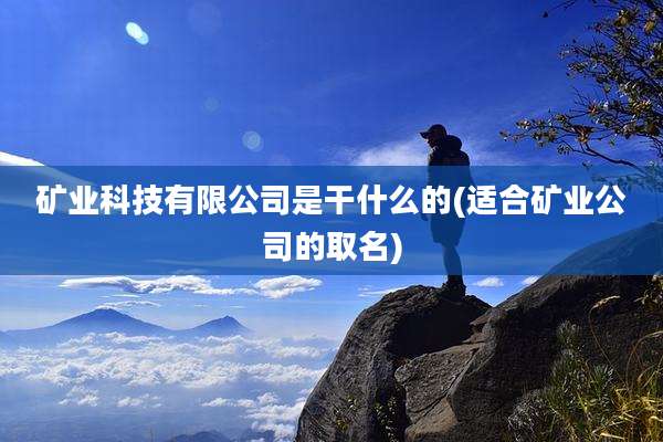 矿业科技有限公司是干什么的(适合矿业公司的取名)