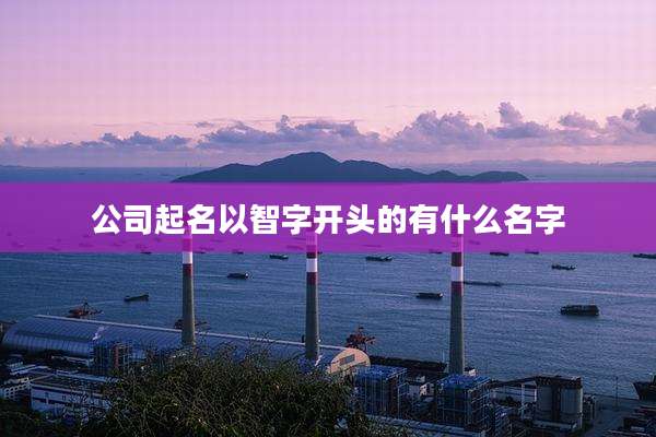 公司起名以智字开头的有什么名字