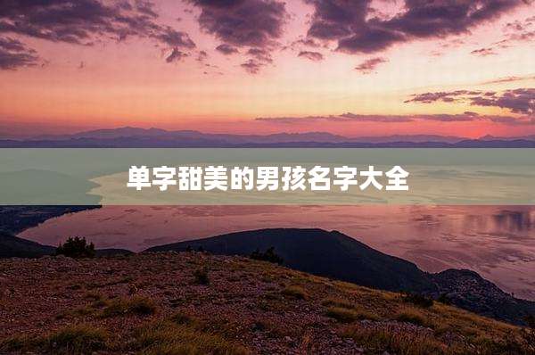 单字甜美的男孩名字大全