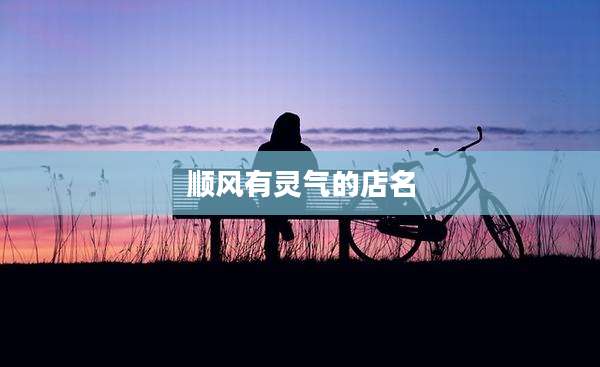 顺风有灵气的店名