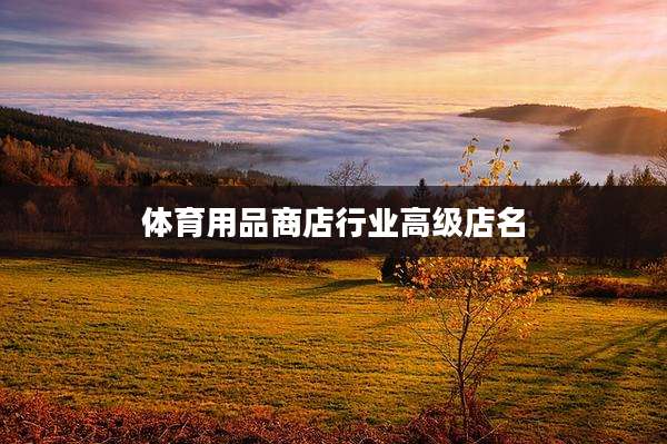 体育用品商店行业高级店名