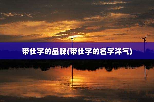 带仕字的品牌(带仕字的名字洋气)