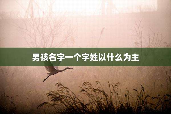 男孩名字一个字姓以什么为主