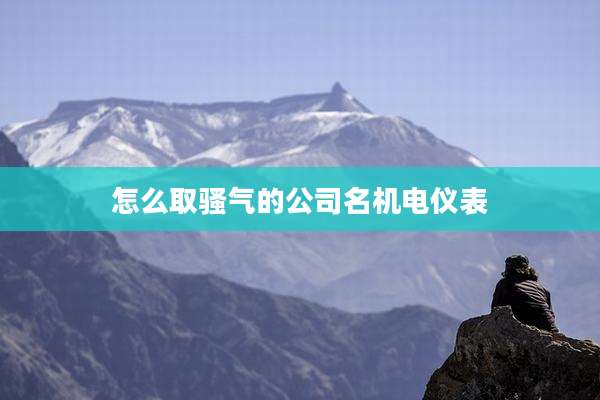 怎么取骚气的公司名机电仪表
