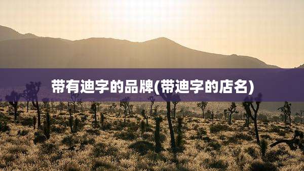 带有迪字的品牌(带迪字的店名)