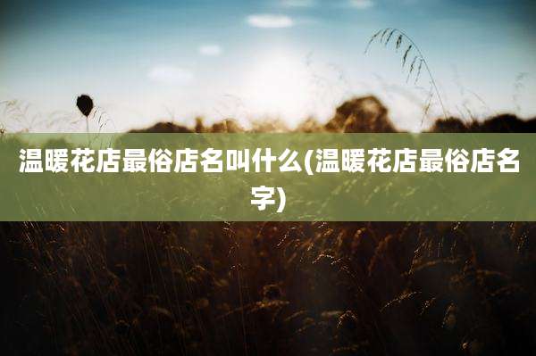 温暖花店最俗店名叫什么(温暖花店最俗店名字)