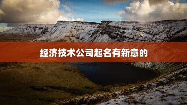 经济技术公司起名有新意的