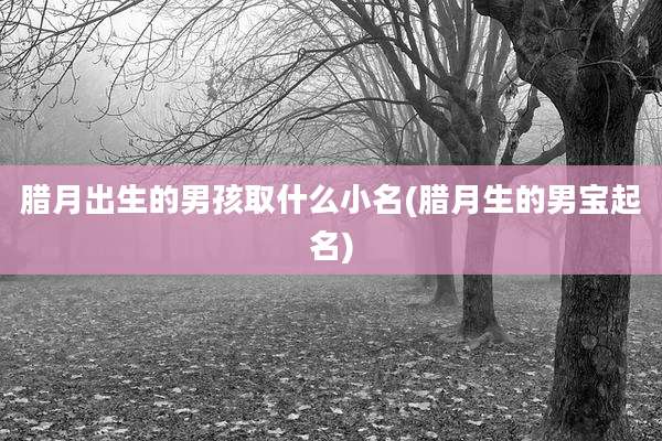 腊月出生的男孩取什么小名(腊月生的男宝起名)