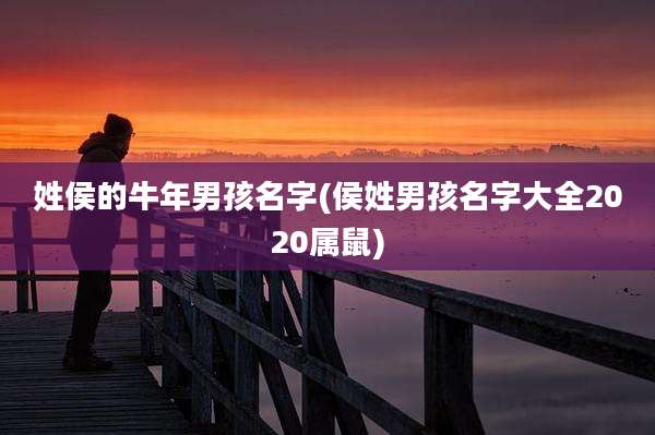 姓侯的牛年男孩名字(侯姓男孩名字大全2020属鼠)