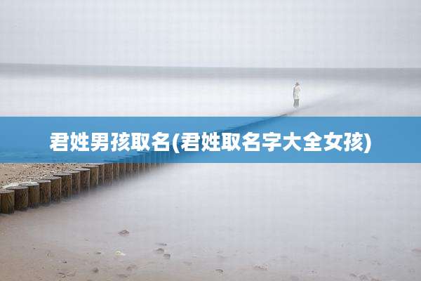 君姓男孩取名(君姓取名字大全女孩)