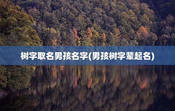 树字取名男孩名字(男孩树字辈起名)