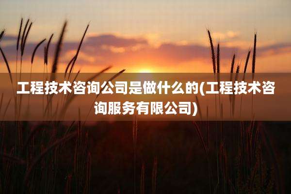 工程技术咨询公司是做什么的(工程技术咨询服务有限公司)
