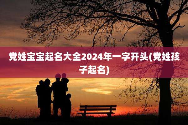 党姓宝宝起名大全2024年一字开头(党姓孩子起名)