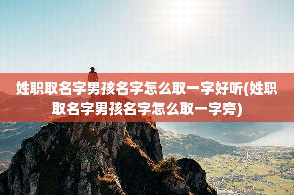 姓职取名字男孩名字怎么取一字好听(姓职取名字男孩名字怎么取一字旁)