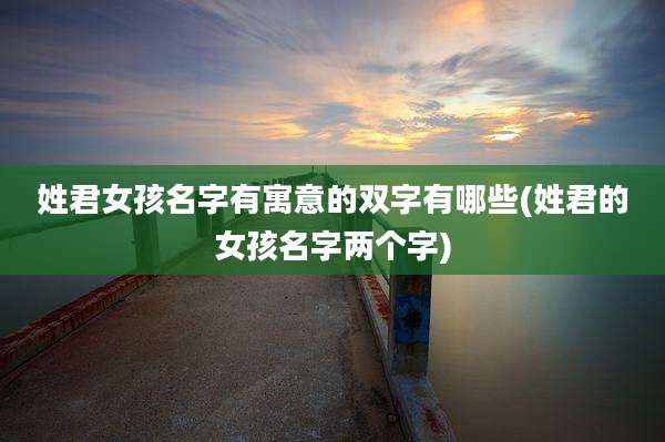 姓君女孩名字有寓意的双字有哪些(姓君的女孩名字两个字)