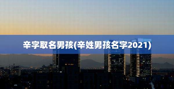 辛字取名男孩(辛姓男孩名字2021)