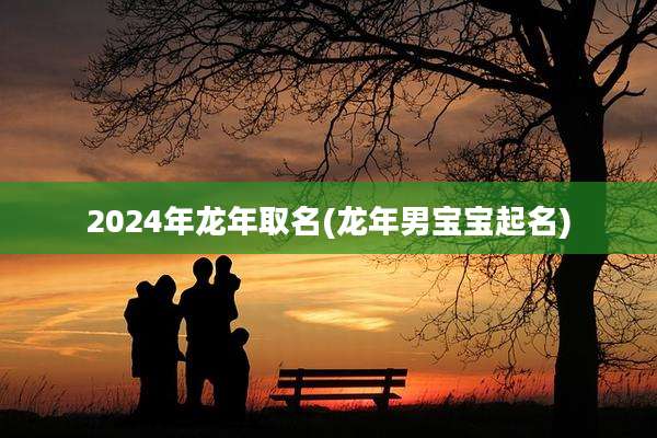 2024年龙年取名(龙年男宝宝起名)