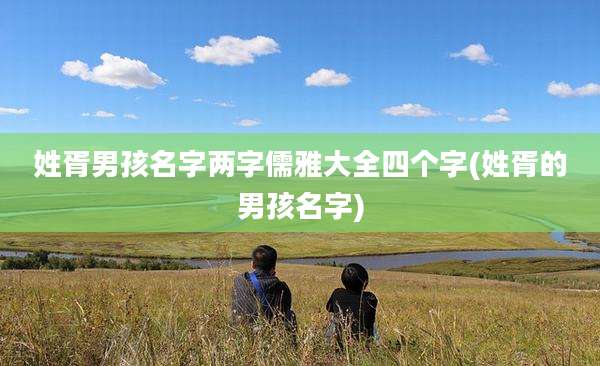 姓胥男孩名字两字儒雅大全四个字(姓胥的男孩名字)