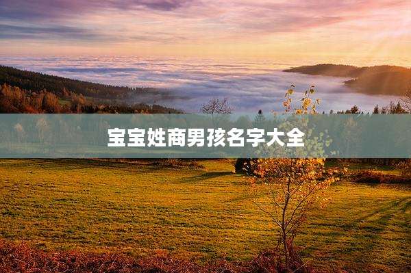 宝宝姓商男孩名字大全