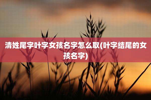清姓尾字叶字女孩名字怎么取(叶字结尾的女孩名字)