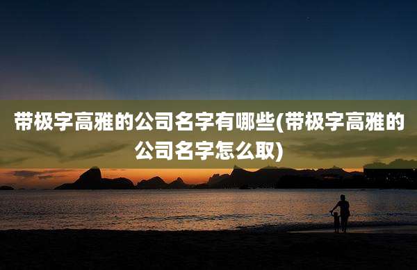 带极字高雅的公司名字有哪些(带极字高雅的公司名字怎么取)