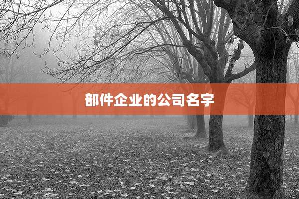 部件企业的公司名字