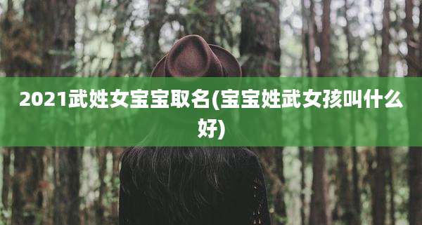 2021武姓女宝宝取名(宝宝姓武女孩叫什么好)