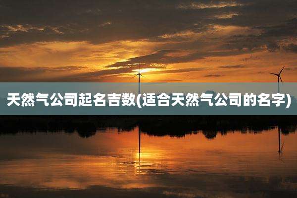 天然气公司起名吉数(适合天然气公司的名字)