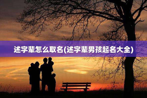 述字辈怎么取名(述字辈男孩起名大全)