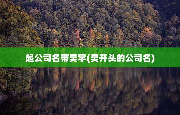 起公司名带昊字(昊开头的公司名)