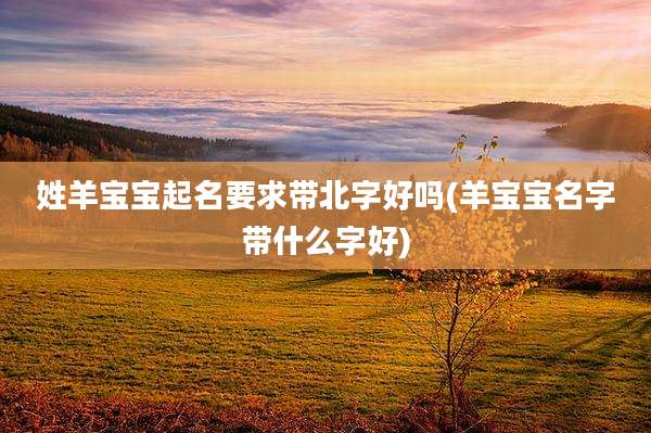 姓羊宝宝起名要求带北字好吗(羊宝宝名字带什么字好)