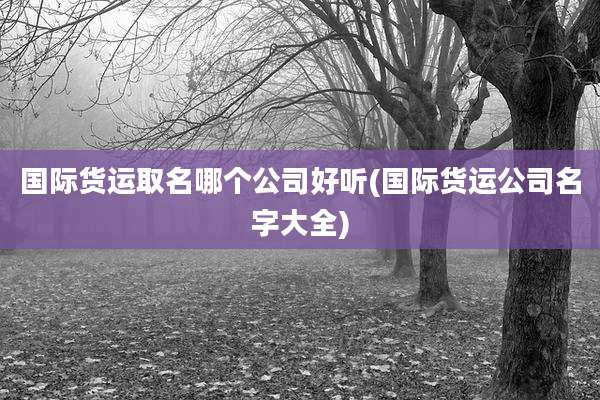 国际货运取名哪个公司好听(国际货运公司名字大全)