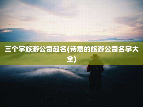 三个字旅游公司起名(诗意的旅游公司名字大全)