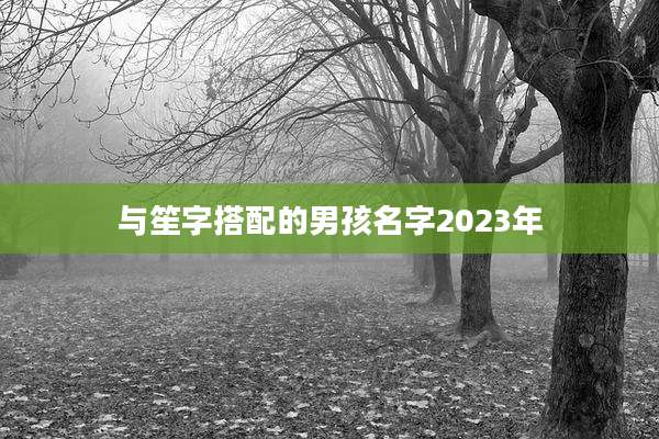 与笙字搭配的男孩名字2023年