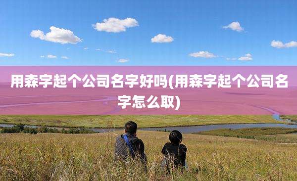 用森字起个公司名字好吗(用森字起个公司名字怎么取)